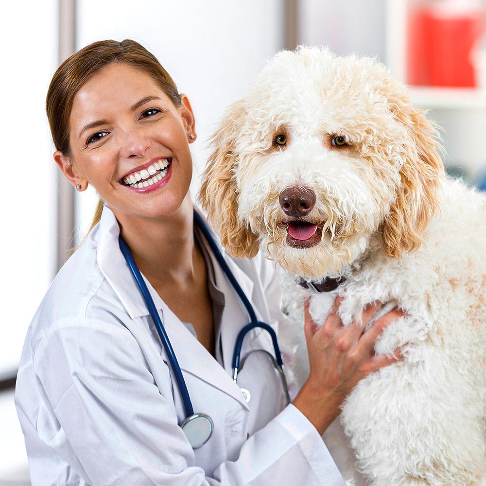 Veterinary Emergency Group
