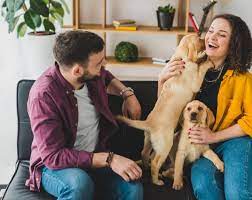Westside Pet Sitters