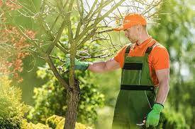 Final Cut Tree Service