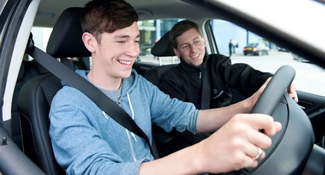 Driverzed.com