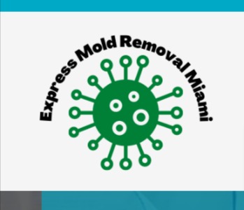 Express Mold Removal Miami