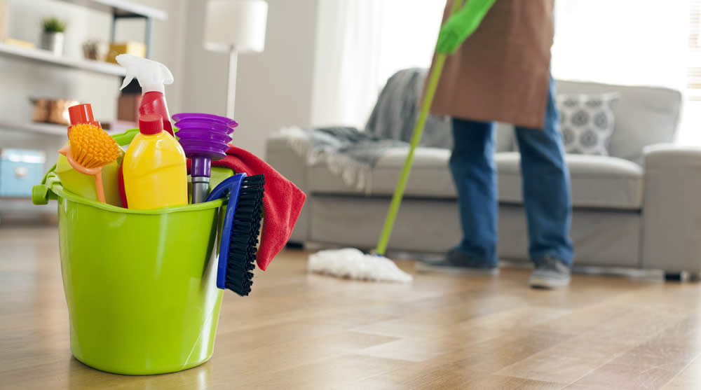 MaidThis Cleaning Downtown LA