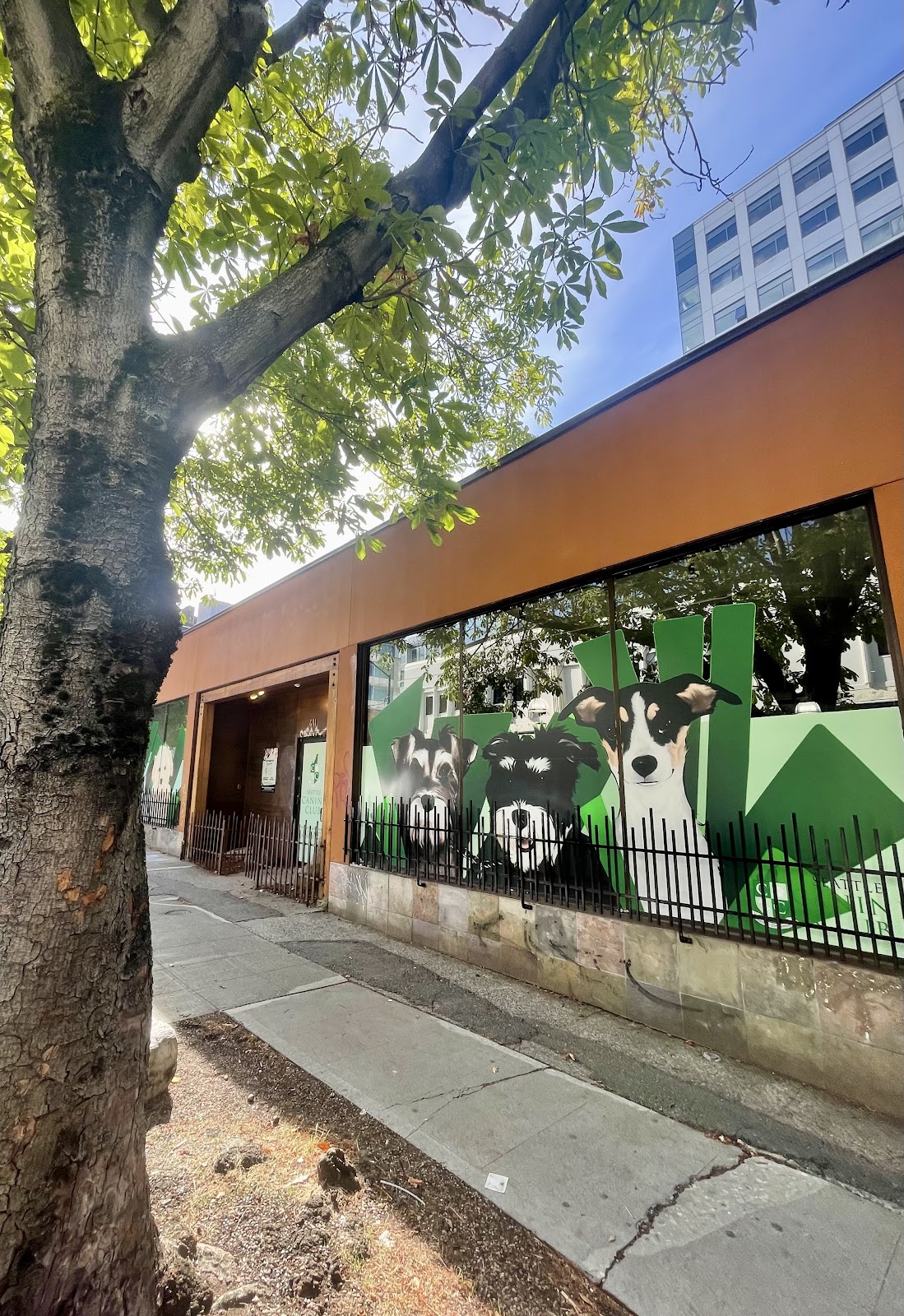 Seattle Canine Club - South Lake Union