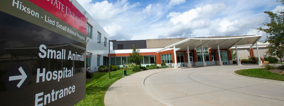 Small Animal Hospital