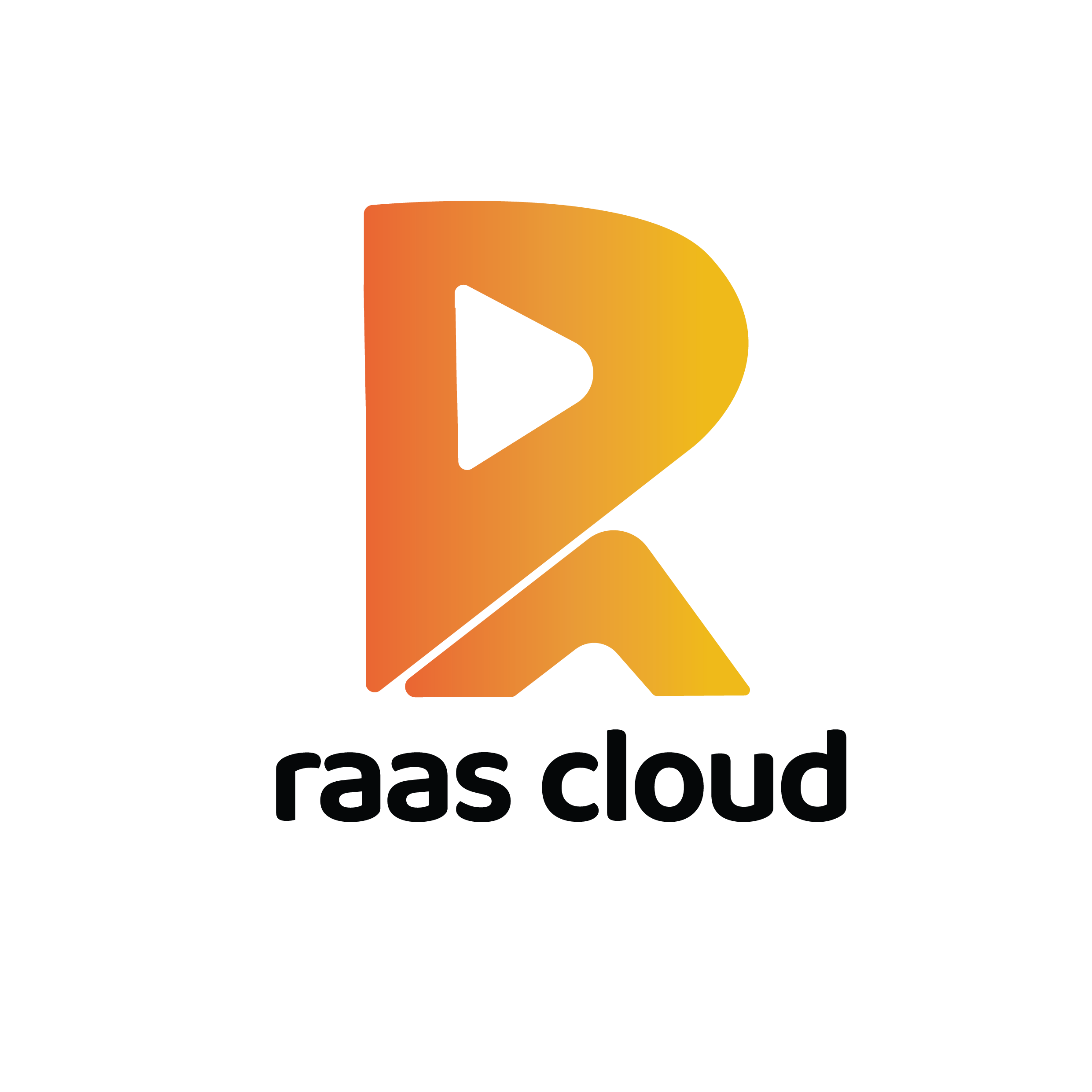 RAAS CLOUD SOLUTIONS LLC