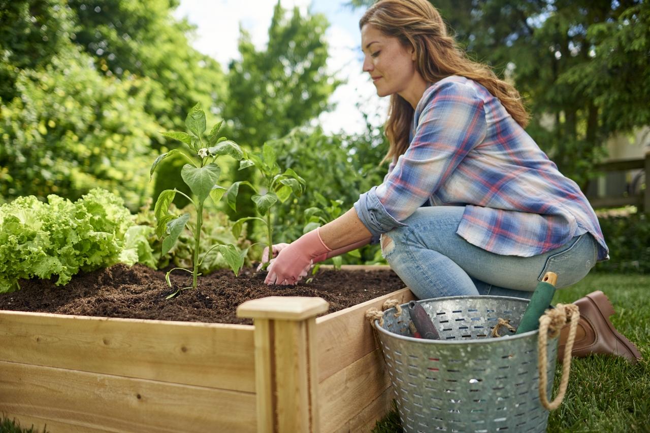 Treff Landscaping Services