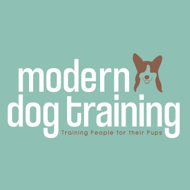 Modern Dog Training RI LLC