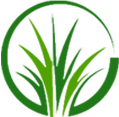 Sod Pros Landscaping