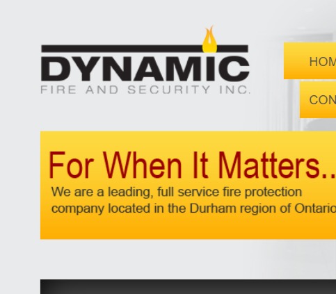 Dynamic Fire And Security Inc