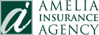 Amila Insurance Services