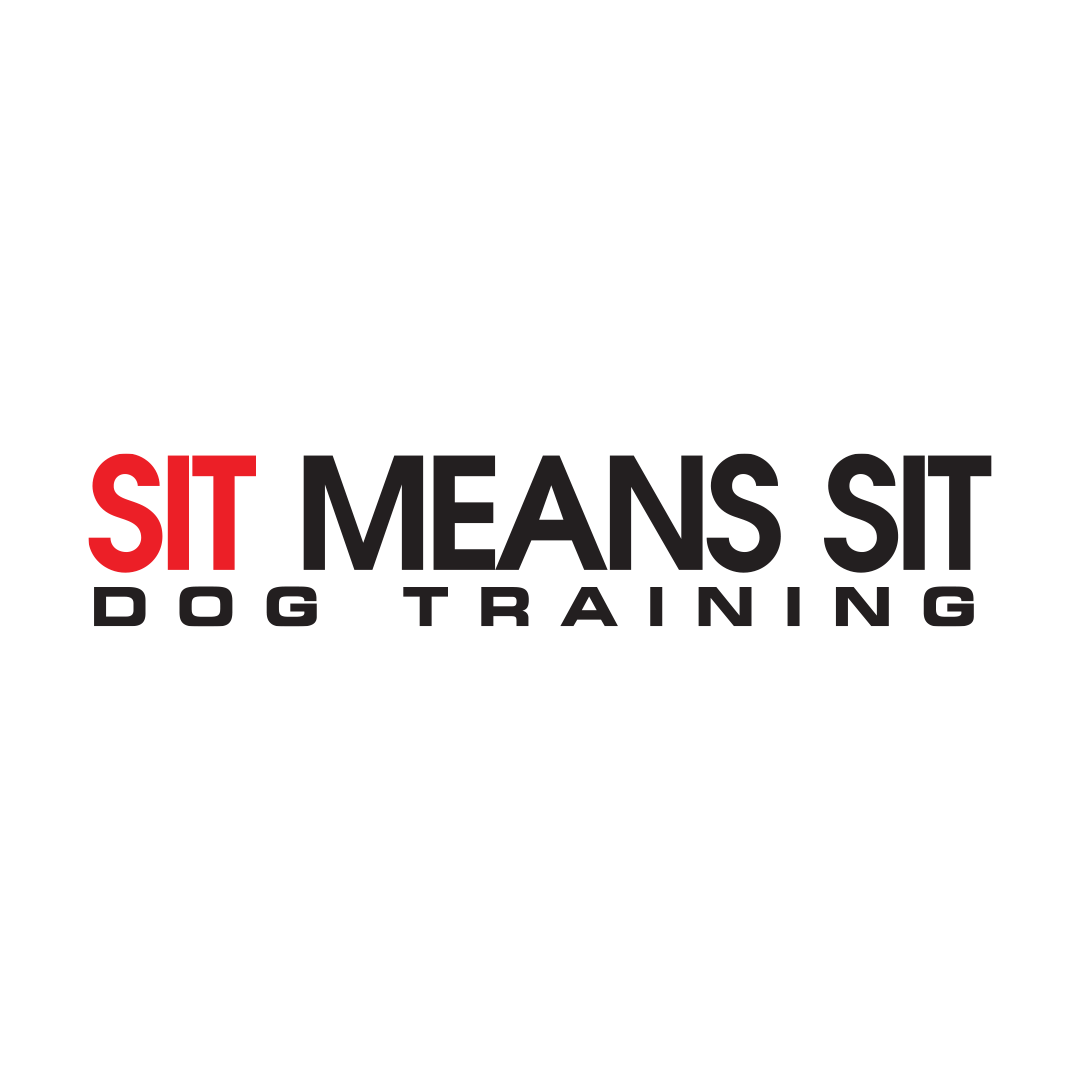 Sit Means Sit Dog Training Tampa