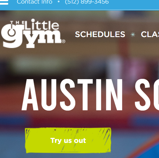 TOP 10 Gymnastics for kids in Austin