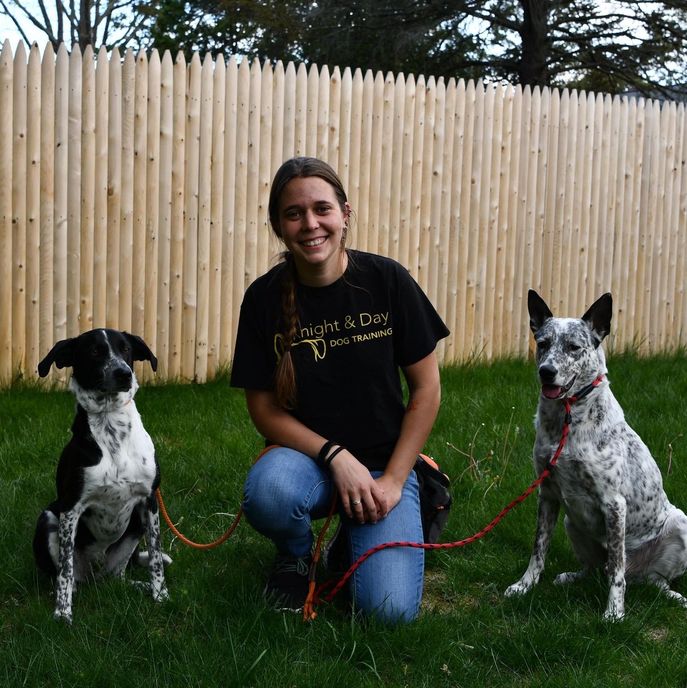 Knight and Day Dog Training LLC