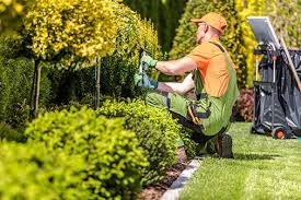 Cleaner Greens Lawn and Landscape LLC
