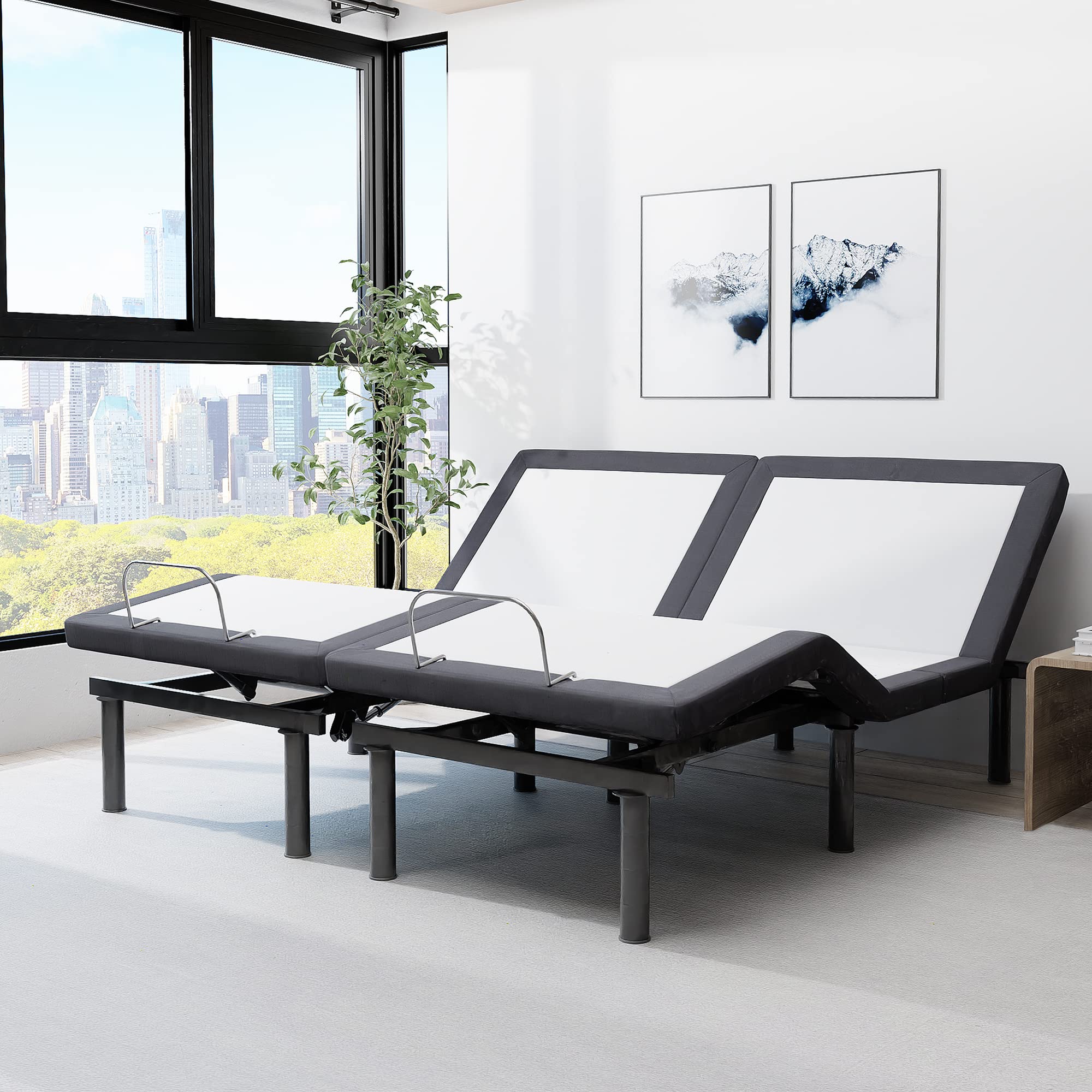 10 BEST Electric Adjustable Bed in Tampa