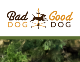 Bad Dog Good Dog Trainer