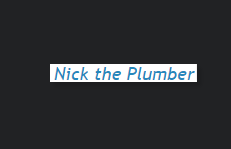Nick the Plumber
