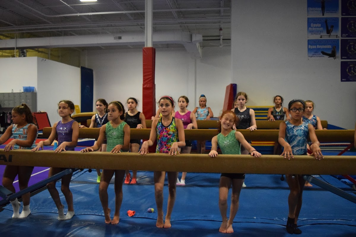 Levels Gymnastics