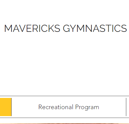 Mavericks Gymnastics