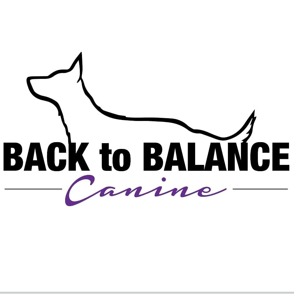 Back to Balance Canine