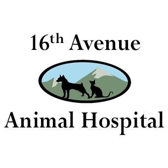 16thAve Animal Hospital