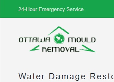 Ottawa Mold Removal and Remediation Services