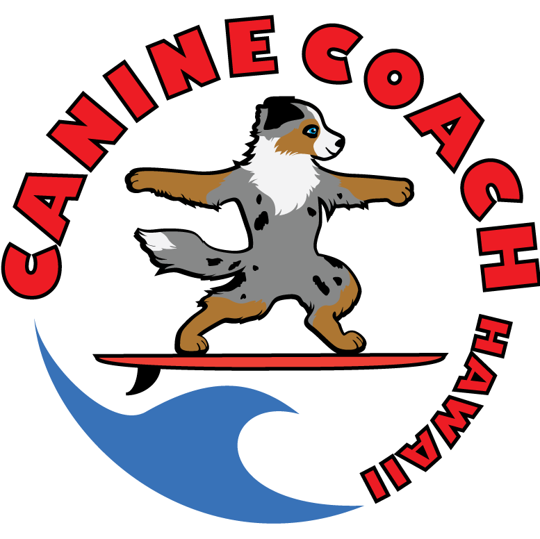 Canine Coach Hawaii