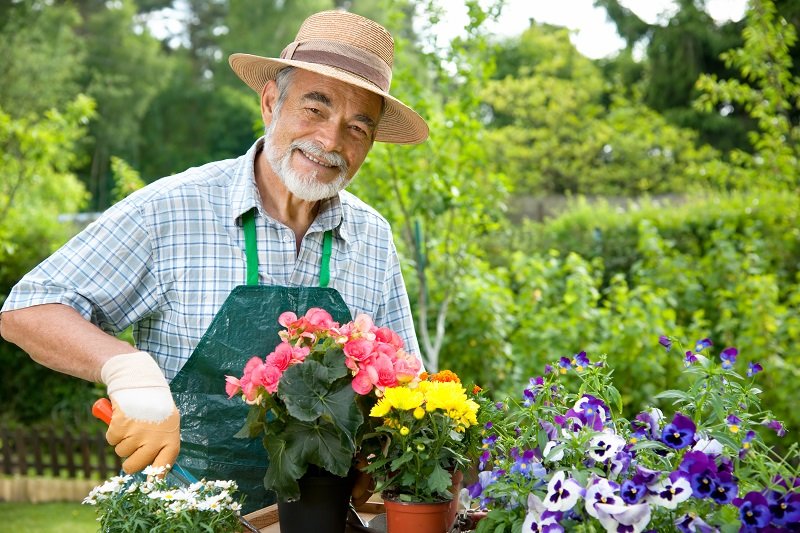 Lakeshore Garden Centre