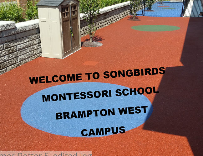 Songbirds Montessori School