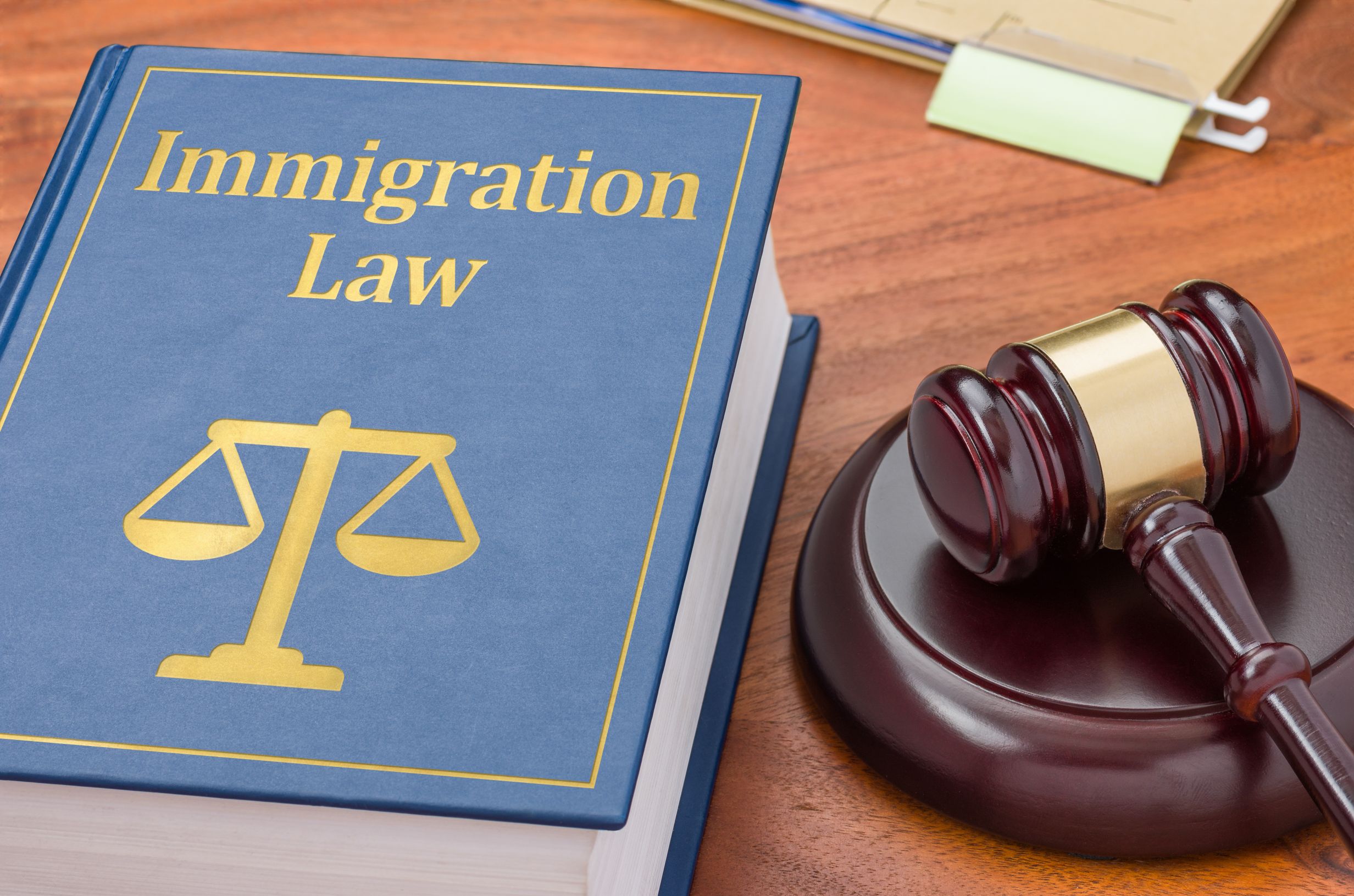 New Frontier Immigration Law reviews