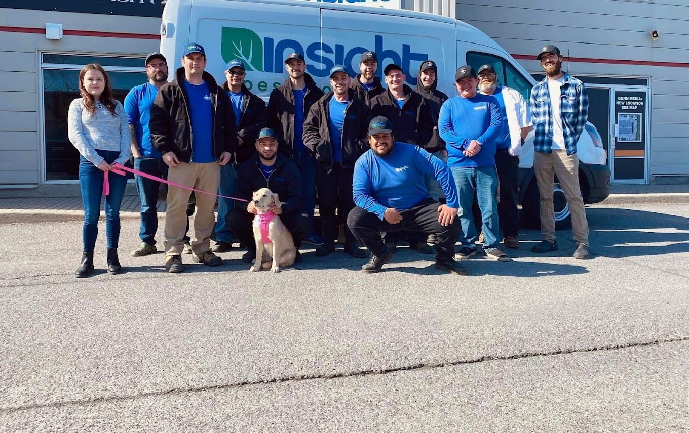 Insight Pest Solutions