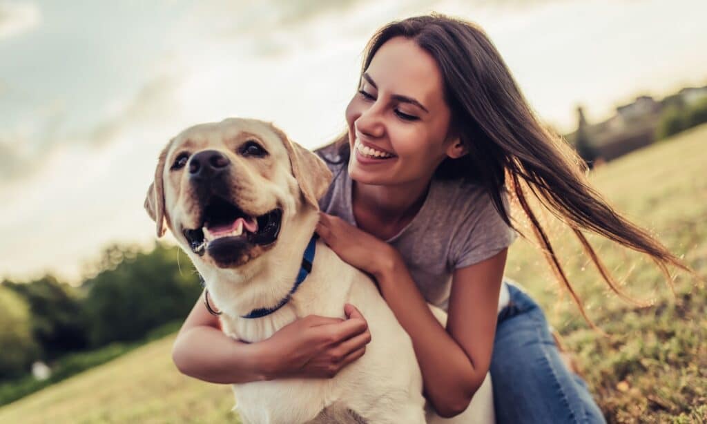 The Urban Hound Hotel & Daycare