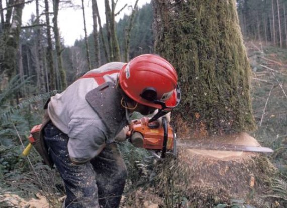 Heritage Tree Service