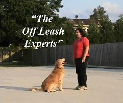 J C M's Dog Training