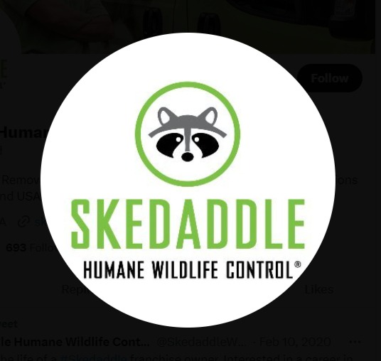 Skedaddle Humane Wildlife Control