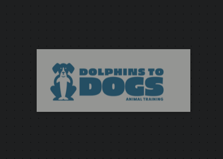 Dolphins to Dogs Animal Training