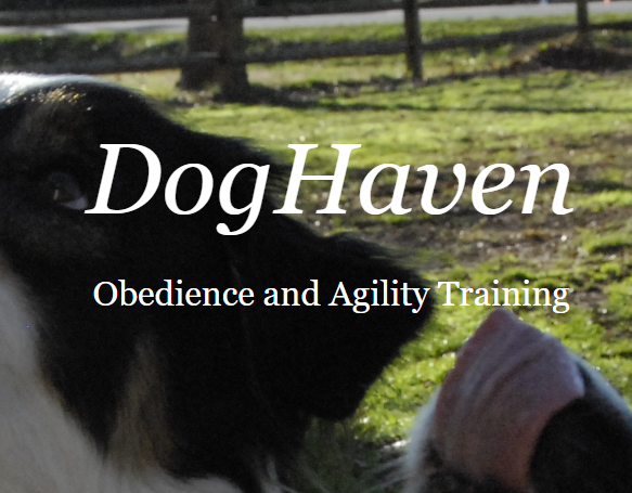 DogHaven /Dreamweaver