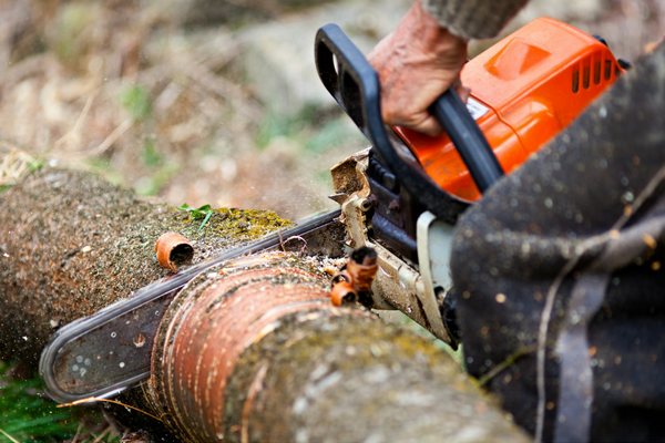 CLC Tree Services Ltd