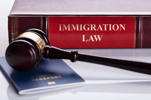 DV Dhaliwal - Immigration Consultancy