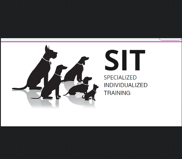SPECIALIZED INDIVIDUALIZED TRAINING