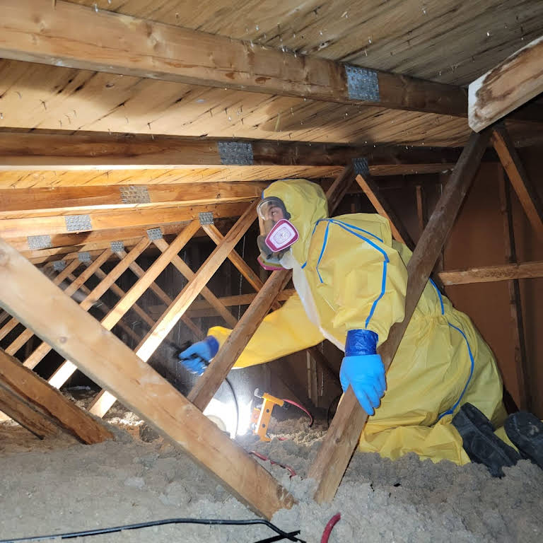 Alesca Restoration Inc