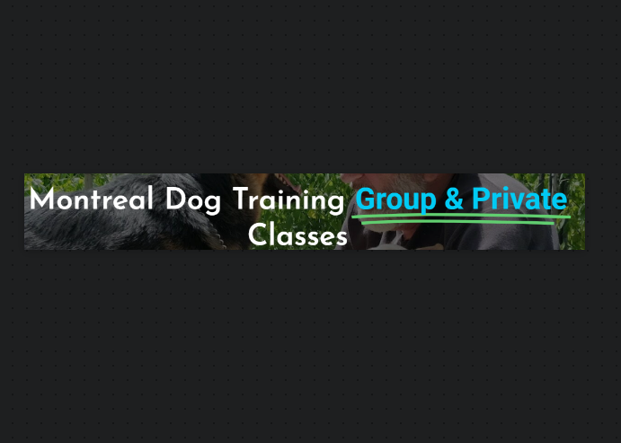Montreal Dog Training