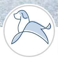 Calm Canine Academy - New York