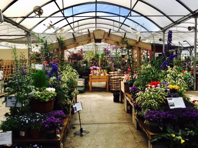 Garden Centre at Lowe's