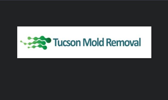 Tucson Mold Removal Pros