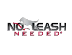 No Leash Needed
