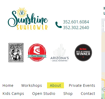 Sunshine Sunflower Studio