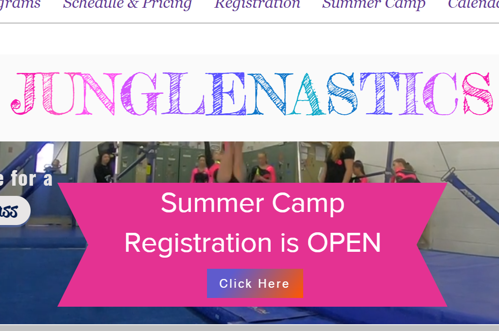 Junglenastics