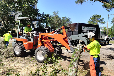 Orlando Tree Service