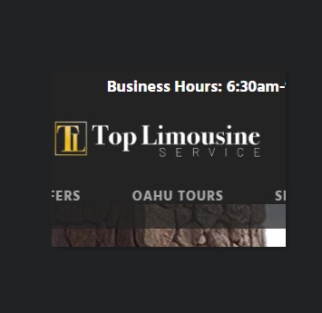Top Limousine Service